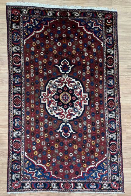 Village Handmade Rug Wool Multi Red & Blue 253X160