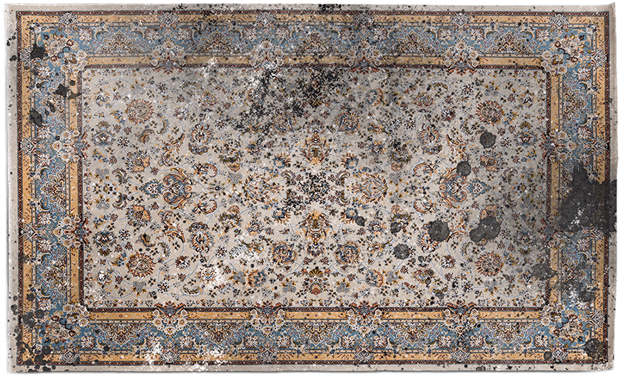 rug-rescue-dirty-rug.png